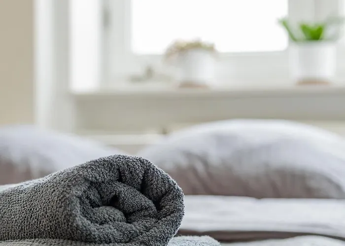 Vip Dominikanska Rzeszow